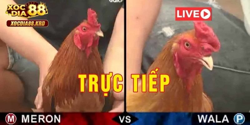 Minh bạch và công bằng