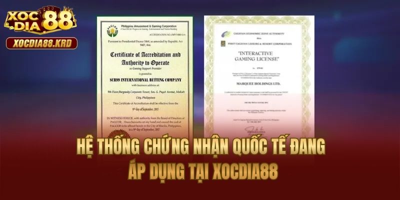Hệ thống chứng nhận quốc tế đang áp dụng tại Xocdia88